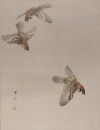 Moineaux en vol, ca. 1887 - Watanabe Seitei