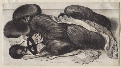  - Wenceslaus Hollar