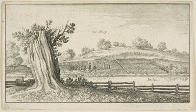 Albury avec une souche d
