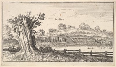 Albury avec une souche d