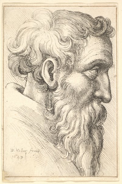 Vieil homme barbu de profil à droite, 1645 - Wenceslaus Hollar