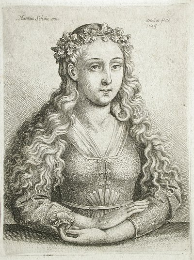 Buste de femme - Wenceslaus Hollar
