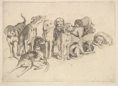 Onze Chiens - Wenceslaus Hollar