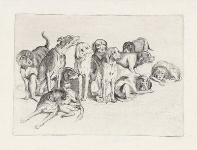 Onze chiens de chasse - Wenceslaus Hollar