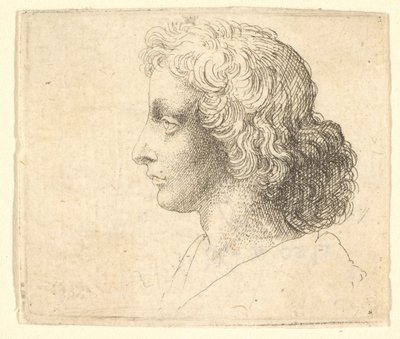 Tête de jeune homme aux cheveux longs de profil à gauche, 1644-52 - Wenceslaus Hollar