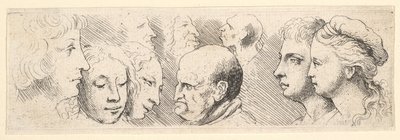 Études de têtes - Wenceslaus Hollar