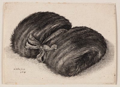 - Wenceslaus Hollar