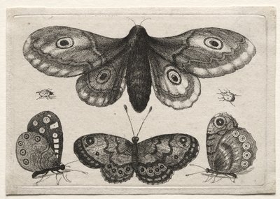  - Wenceslaus Hollar