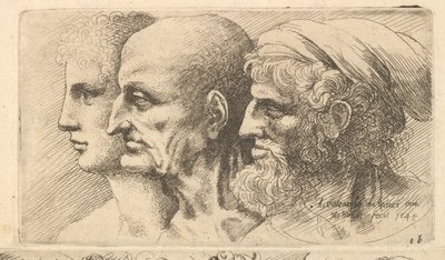 Rangée de trois têtes de profil à gauche, 1645 - Wenceslaus Hollar