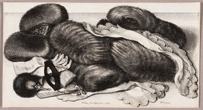 Nature morte avec un groupe de manchons, une paire de gants et deux mouchoirs - Wenceslaus Hollar