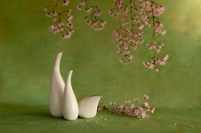  - Wendy Xu
