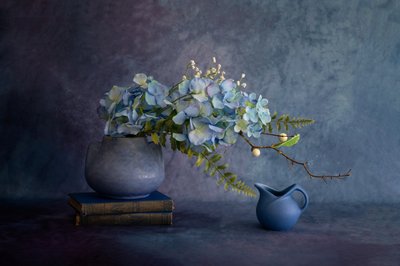  - Wendy Xu
