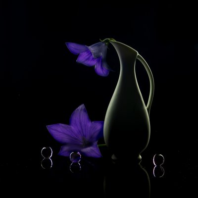  - Wendy Xu