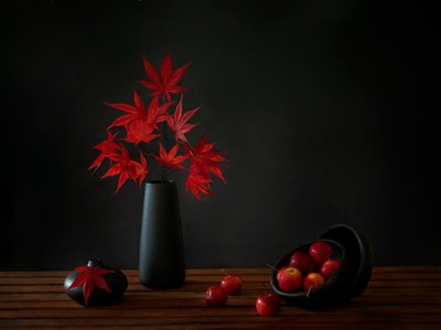  - Wendy Xu