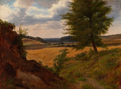 Arbre dans un paysage de champs, étude - Werner Holmberg