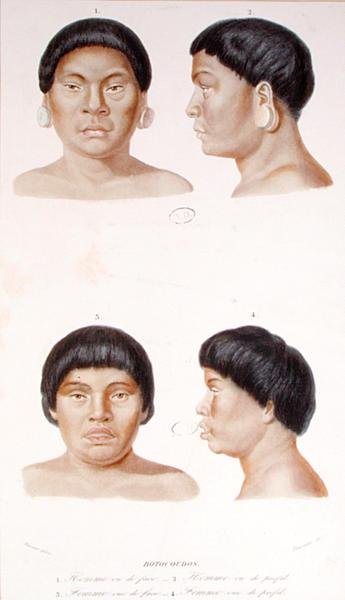 Étude anthropométrique de deux indiens Botocudos, gravée par Fournier, milieu XIXe siècle - Werner Werner