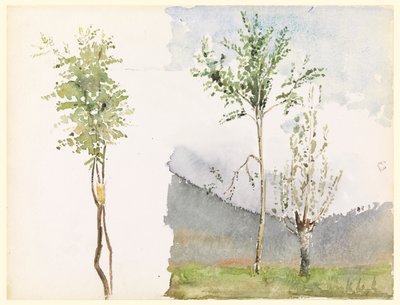 Croquis de paysage - Whitney Warren Jr.