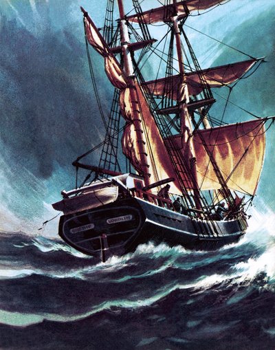 Le marin - Wilf (20th century) Hardy