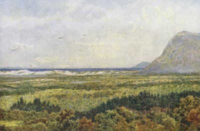 Vallée de Constantia et False Bay, avec Cape Point - Wilhelm Westhofen