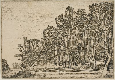 Paysage avec haies de planches et homme portant du bois - Willem Buytewech