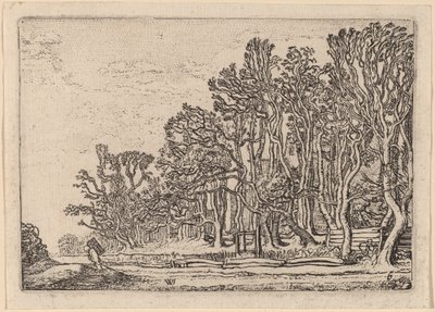 Deux haies de planches - Willem Buytewech