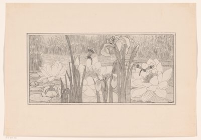 Nénuphars - Willem C. Scherjon