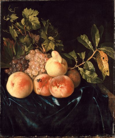 Nature morte de pêches et de raisins, 1705 - Willem Frederiksz van Royen