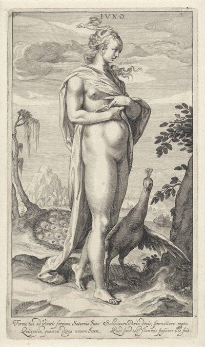 Junon avec paon
Iuno (titre sur l