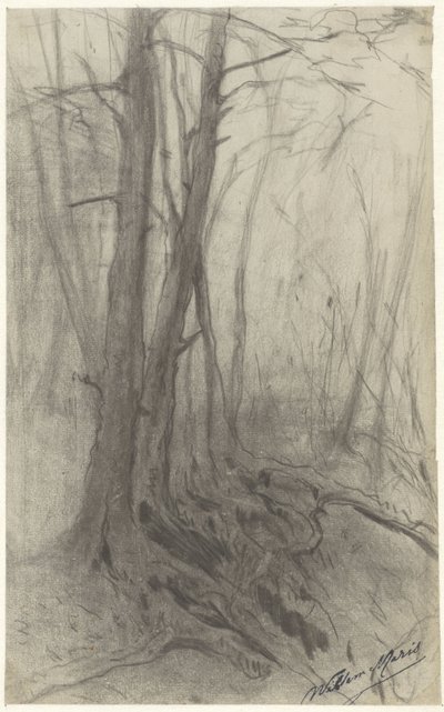 Arbres dans une forêt - Willem Maris