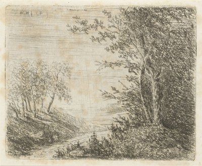 Paysage vallonné avec un ruisseau - Willem Matthias Jan van Dielen