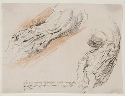 Études anatomiques (écorchés). Avant-bras gauche écorché d