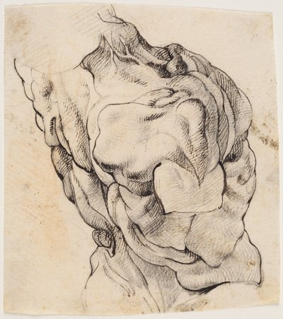 Étude anatomique (écorché). Torse d