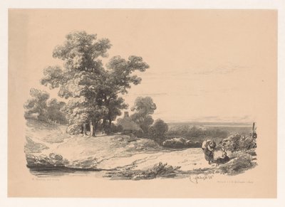 Paysage avec deux femmes - Willem Roelofs (I)