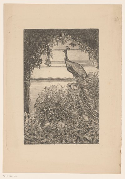 Paon assis et debout dans la nature - Willem Scherjon