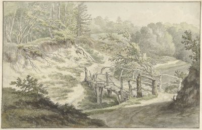Paysage de dunes avec pont en bois - Willem Uppink