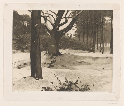 Paysage forestier enneigé à Ede - Willem Witsen (signed by artist)