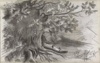 Paysage avec un grand arbre à Rhenen - Willem Arnoldus Witsen