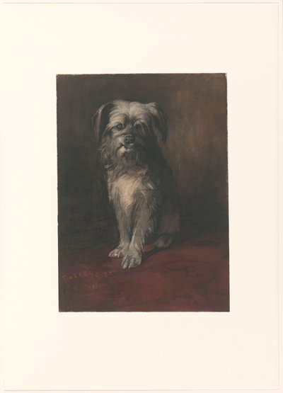 Portrait du chien Phoebus - Willem Arnoldus Witsen