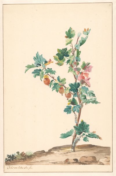 Une groseille à maquereau dans un paysage - Willem van Leen (attributed to)