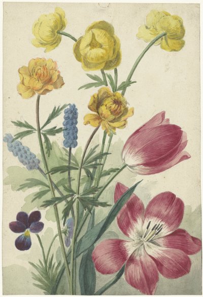 Bouquet de tulipes, violettes, muscaris et renoncules - Willem van Leen