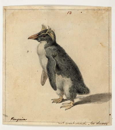WD 961 f.13 - William Alexander