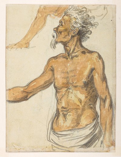 Vieil homme (d