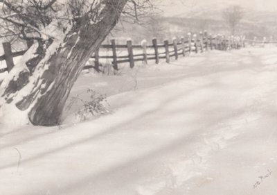 Chemin dans la neige - William B. Post
