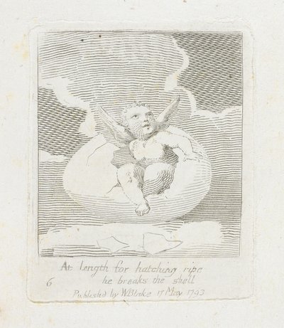 Enfin, pour éclore mûr, il brise la coquille, planche 8 de 