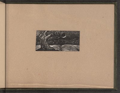 Arbre foudroyé et cultures aplaties - William Blake