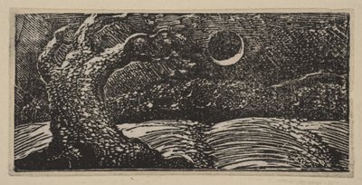 Arbres éclatés et cultures aplaties, de Les Pastorales de Virgile de Thornton, 1821 - William Blake