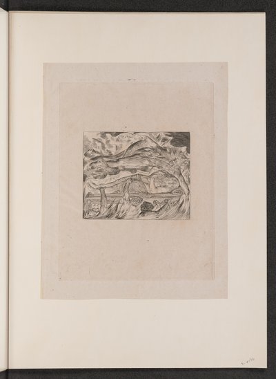 Les mauvais rêves de Job, 1825 - William Blake