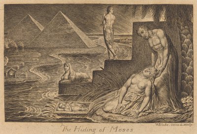 La cachette de Moïse - William Blake