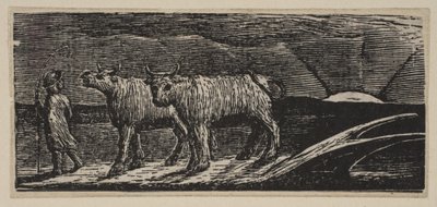 Génisses non attelées, rentrant chez elles (Pastorales de Virgile de Thornton) - William Blake