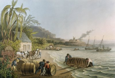 Transport et chargement de tonneaux de sucre à bord, planche X de 
